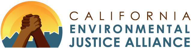 CEJA logo header